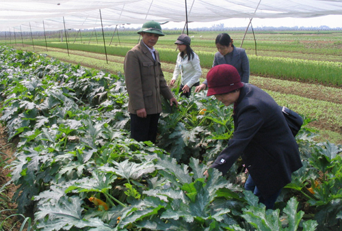 Hội Nông dân Ninh Bình nâng cao chất lượng công tác cán bộ